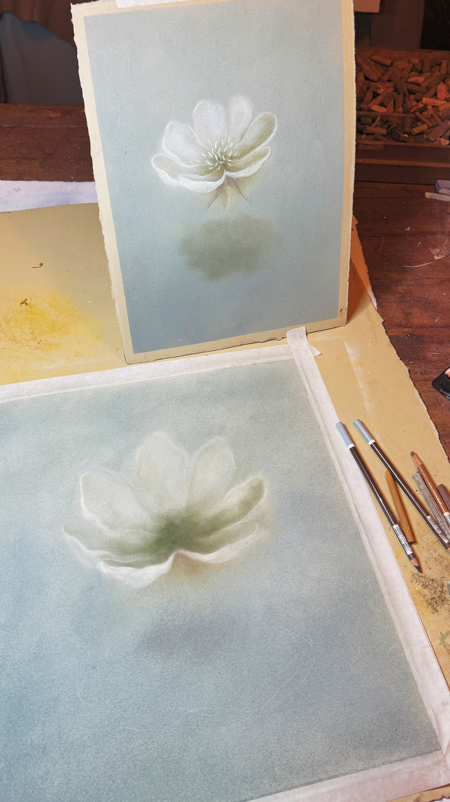 Beautiful illustrations created to inspire wonder