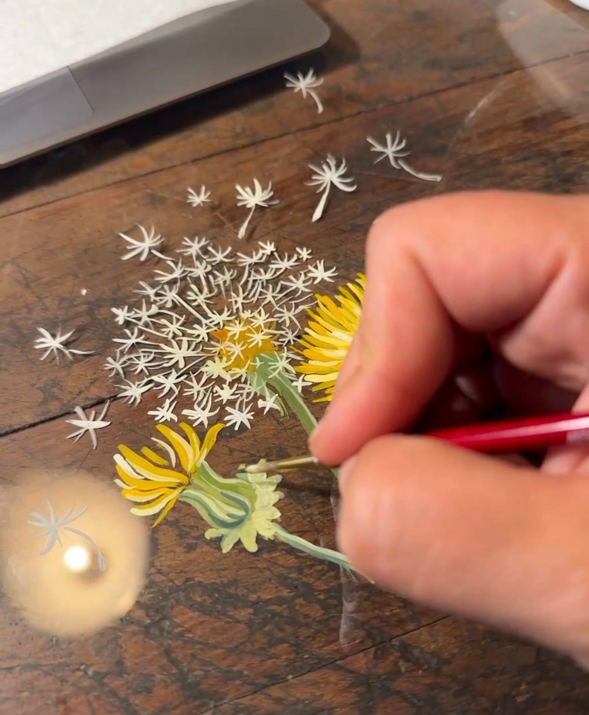 Beautiful illustrations created to inspire wonder